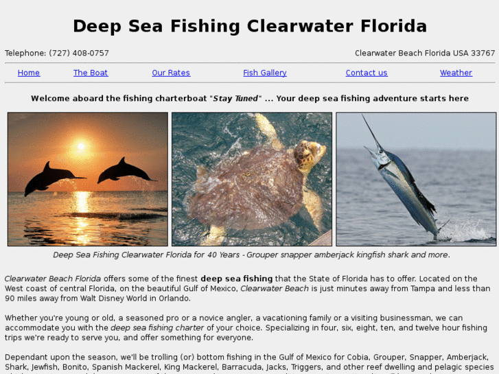 www.deepseafishingclearwater.com