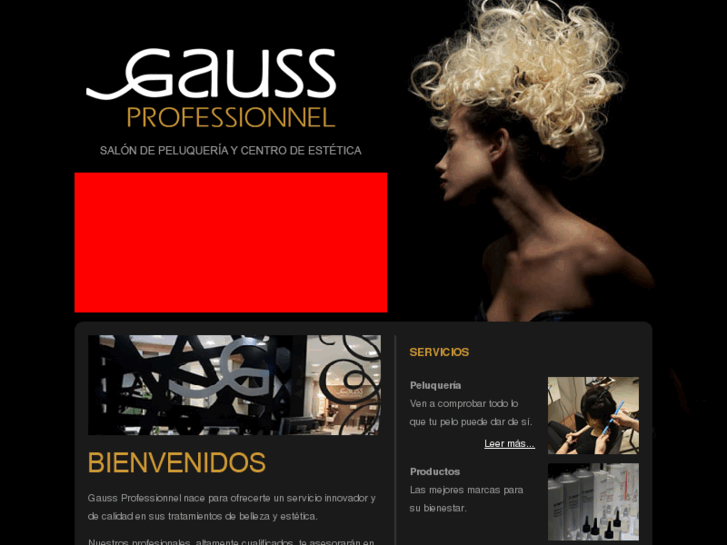 www.gaussprofessionnel.com