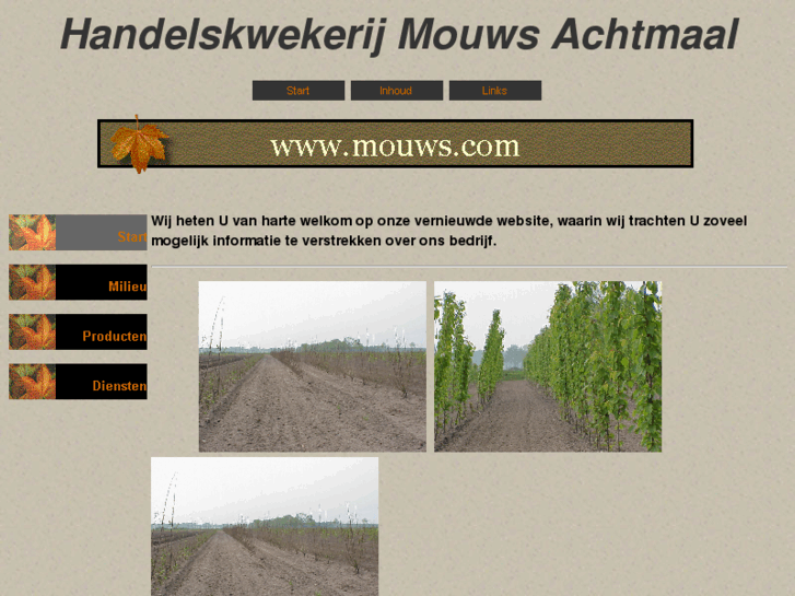 www.mouws.com