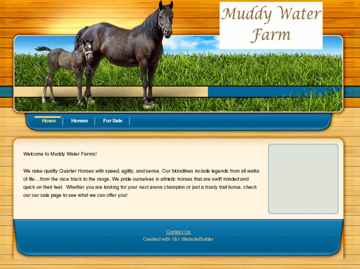 www.muddywaterfarm.com