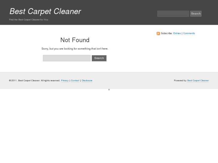 www.thebestcarpetcleaner.org