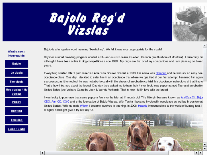 www.bajolovizslas.com