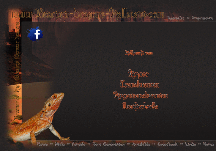 www.bearded-dragons-hallstadt.com