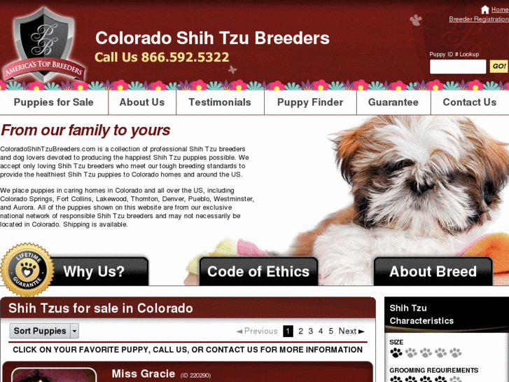 www.coloradoshihtzubreeders.com