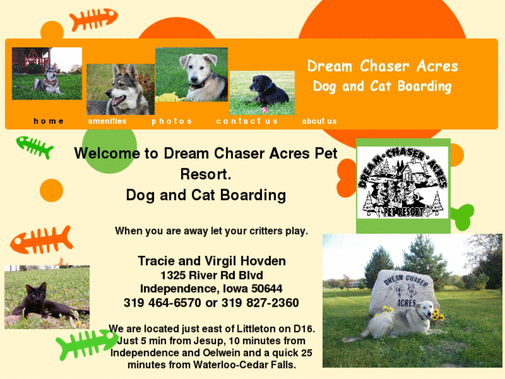 www.dreamchaseracres.com