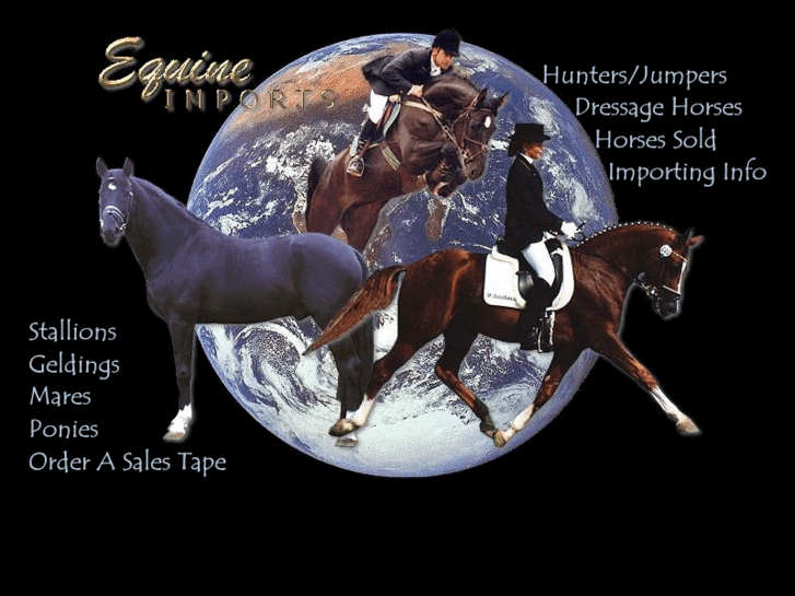 www.equineimports.com