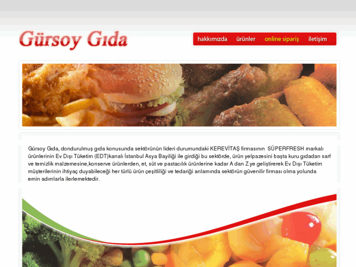 www.gursoygida.com