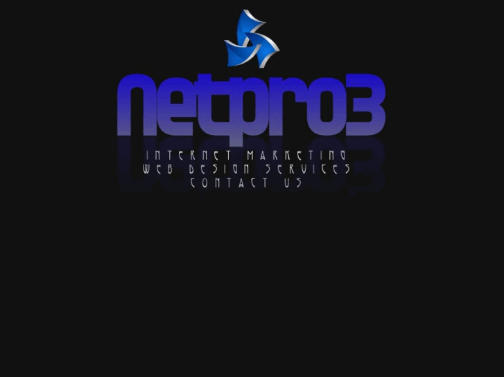 www.netpro3.com