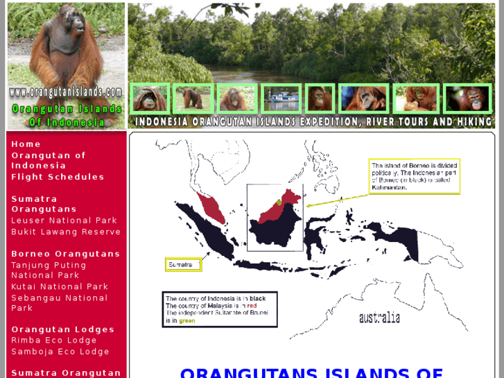 www.orangutanislands.com