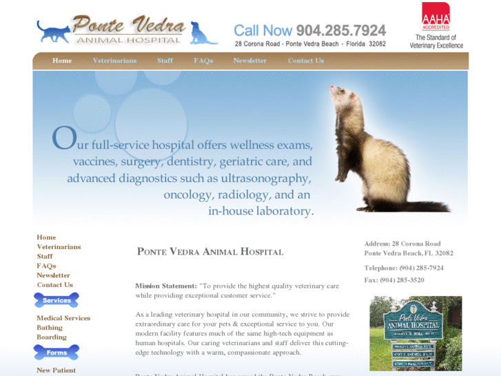 www.pontevedraanimalhospital.com