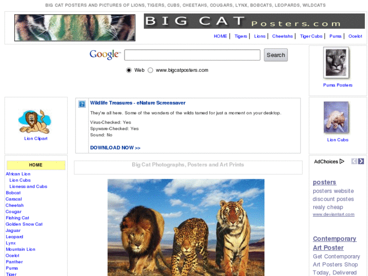 www.bigcatposters.com