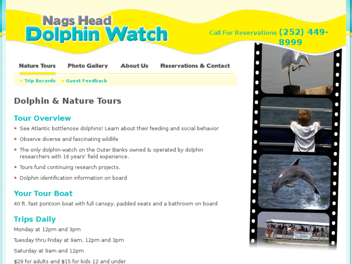 www.nagsheaddolphinwatch.com