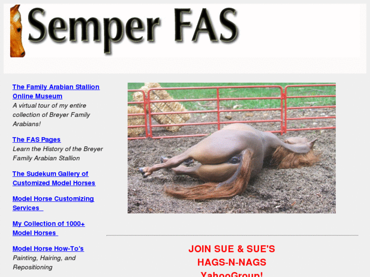 www.semperfas.com