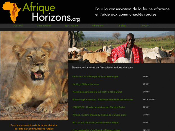 www.afrique-horizons.org