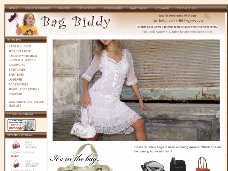 www.bagbiddy.com