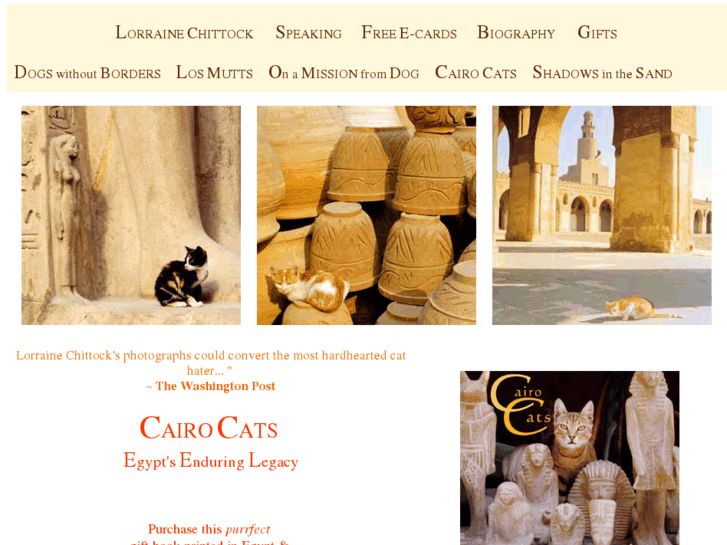 www.cairocats.com