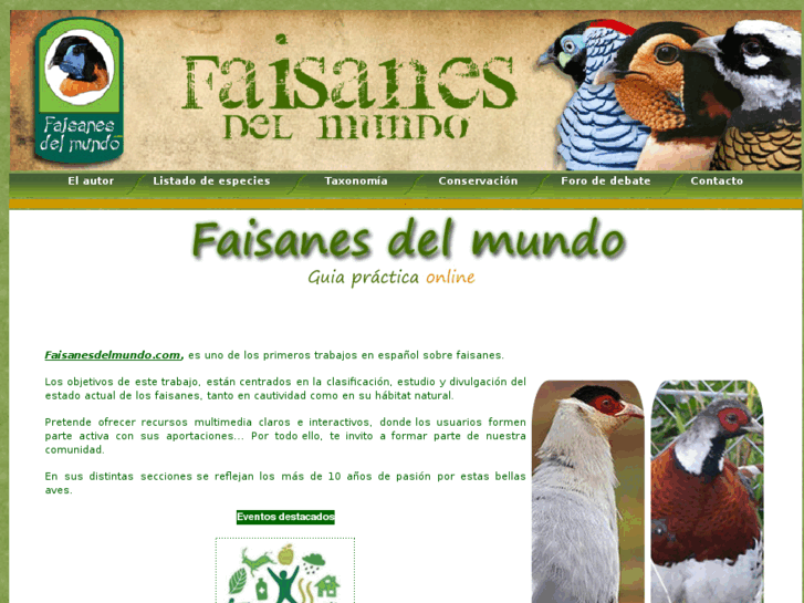 www.faisanesdelmundo.com