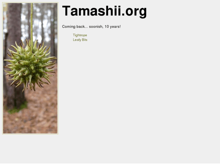 www.tamashii.org