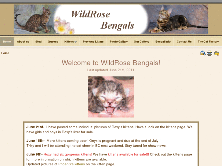 www.wildrosebengals.ca