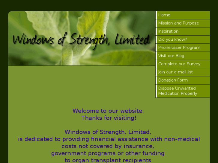 www.windowsofstrength.org