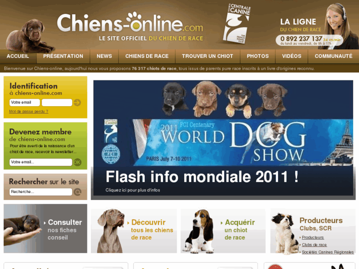 www.chiens-online.com