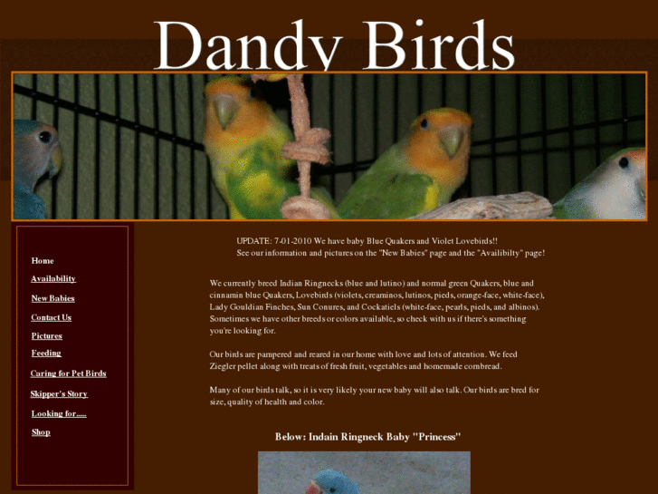 www.dandybirds.com