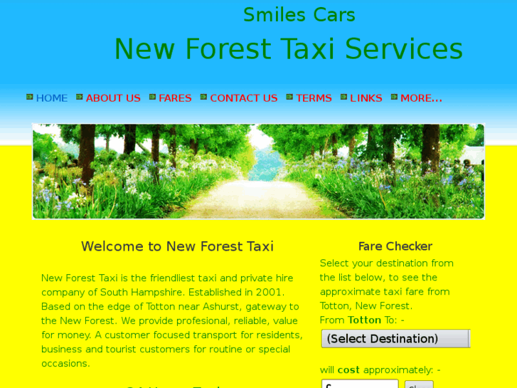 www.newforesttaxi.com