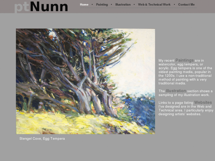 www.ptnunn.com