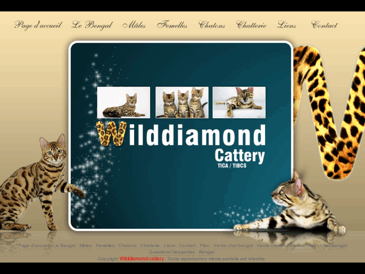 www.wilddiamondbengals.com