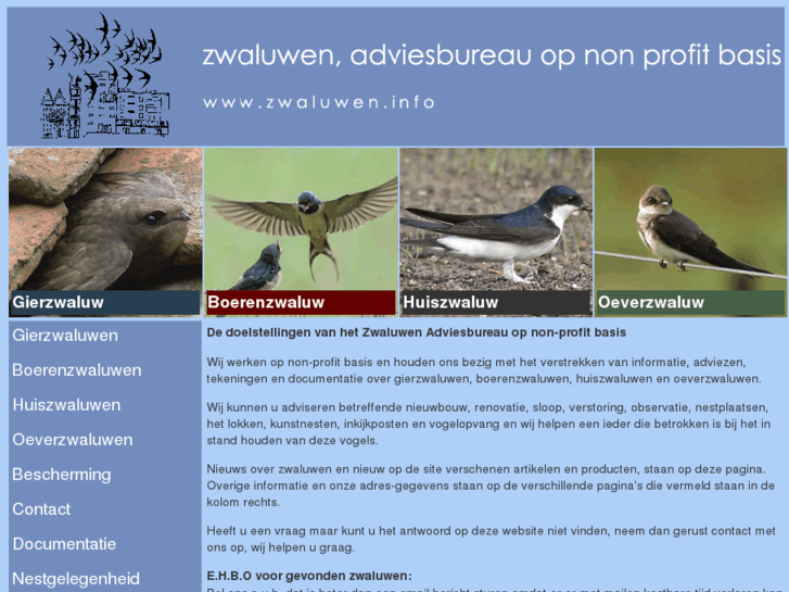 www.zwaluwen.info