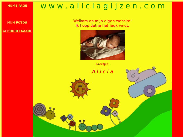 www.aliciagijzen.com