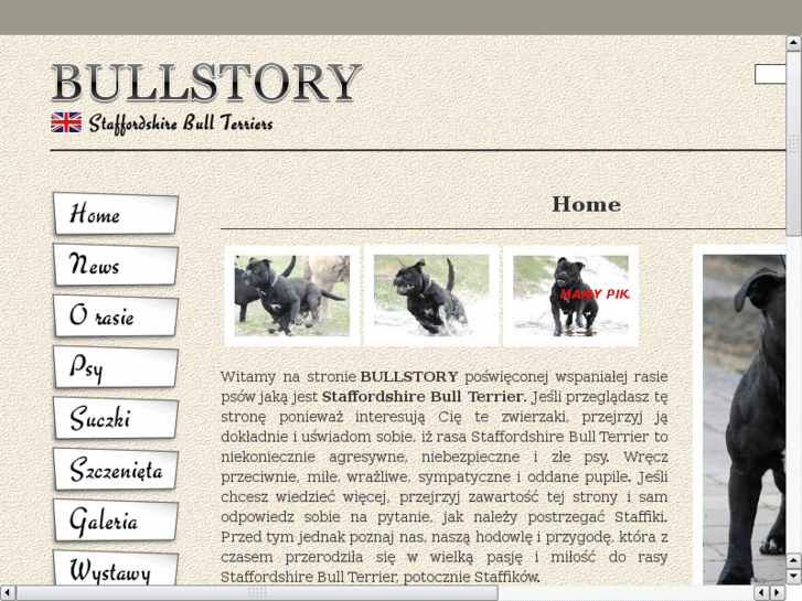 www.bullstory.pl