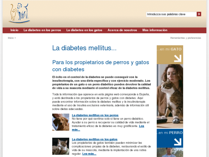 www.diabetes-perros.com