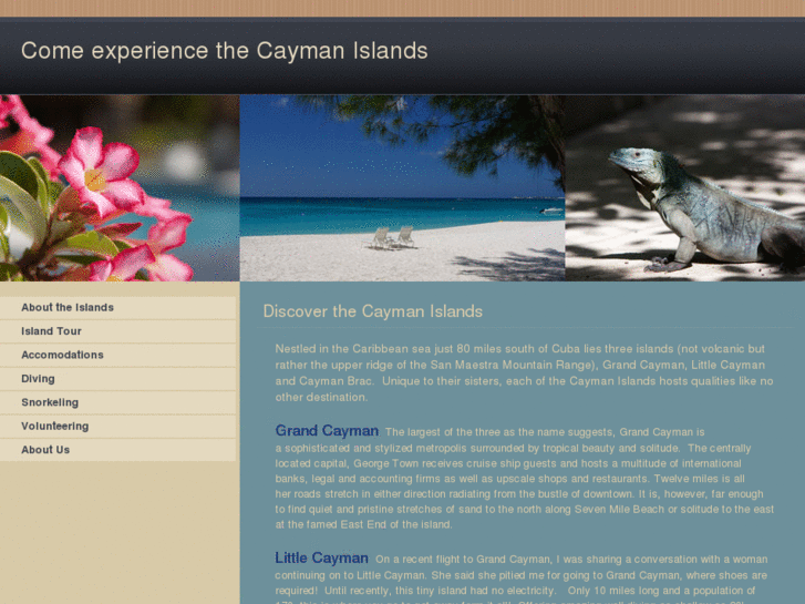 www.divecayman.com