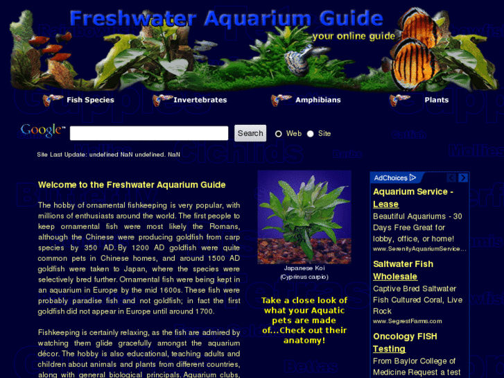 www.freshwater-aquarium-guide.com