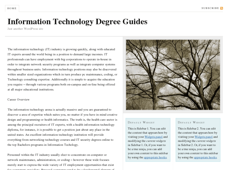 www.informationtechnologydegreeguides.net