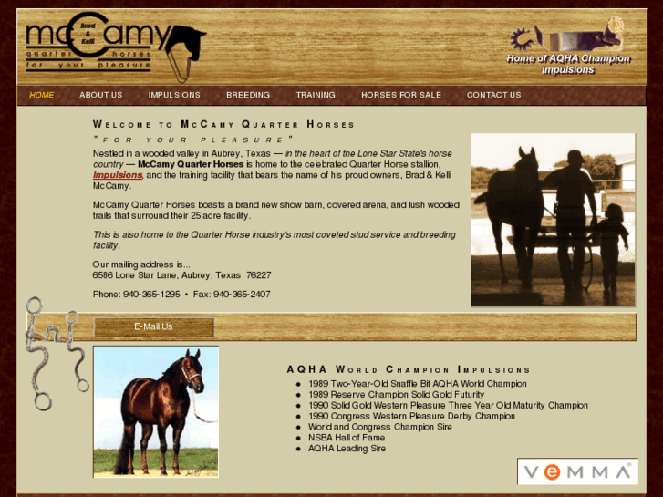 www.mccamyquarterhorses.com