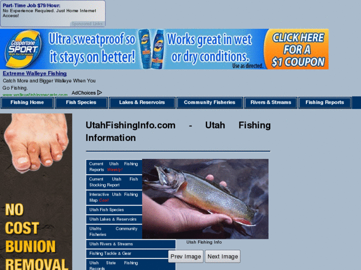 www.utahfishinginfo.com
