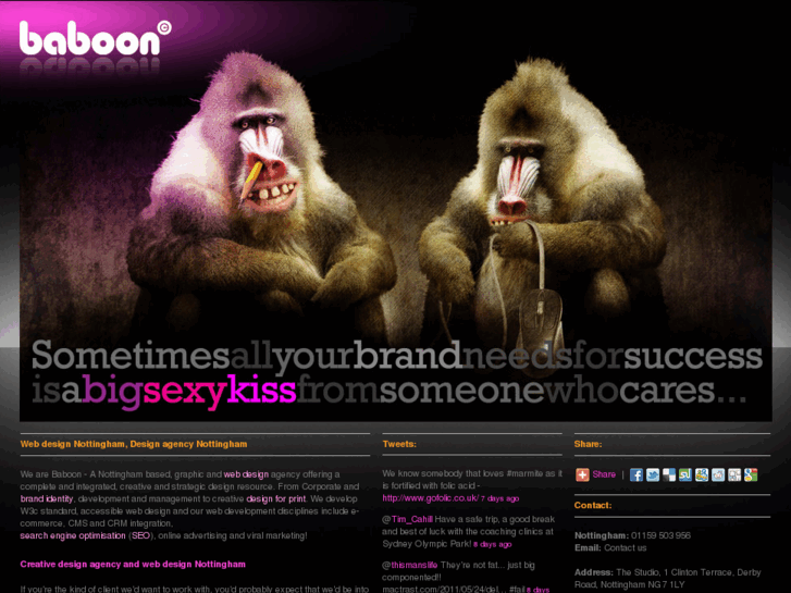 www.babooncreative.com