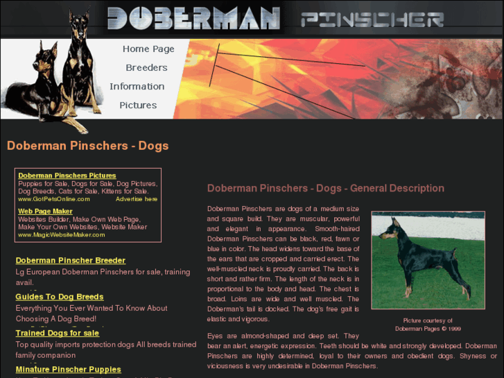 www.doberman-pinscher-dogs.com