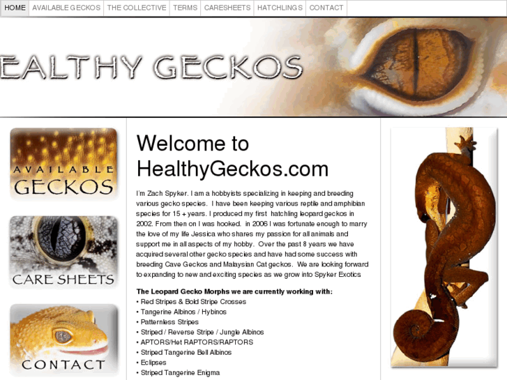 www.healthygeckos.com