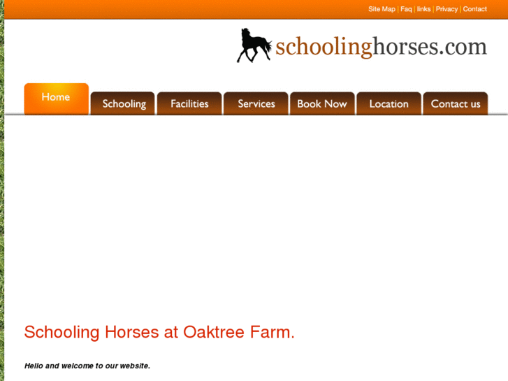 www.schoolinghorses.com