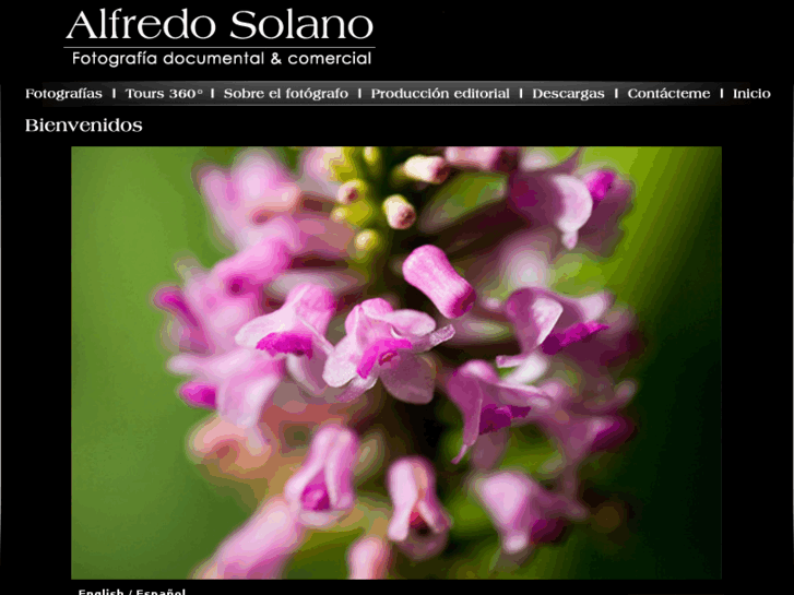 www.alfredosolano.com