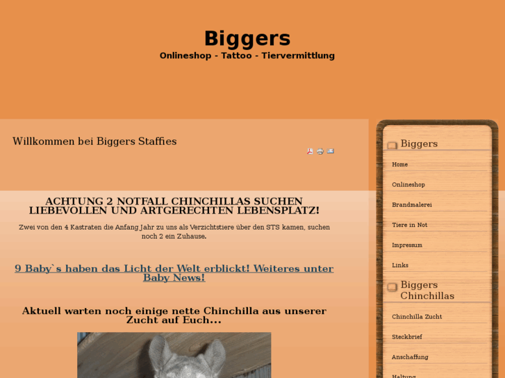 www.biggers-chinchillas.com