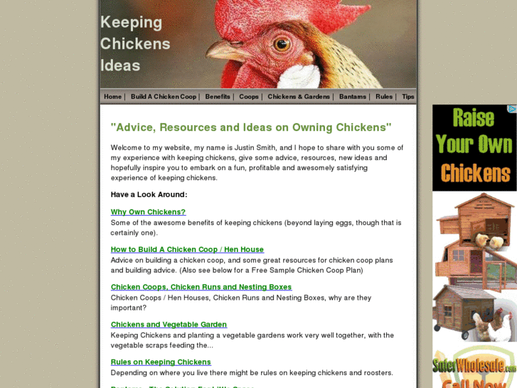 www.keeping-chickens-ideas.com