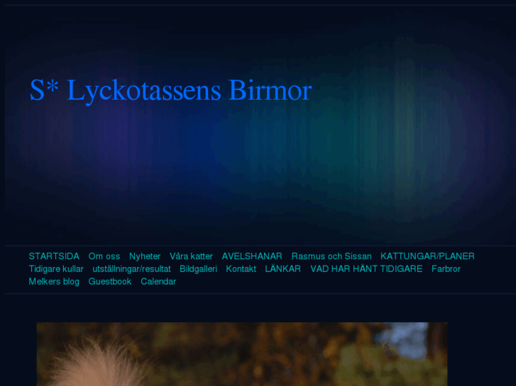 www.lyckotassens.net