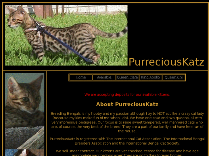 www.purreciouskatz.com