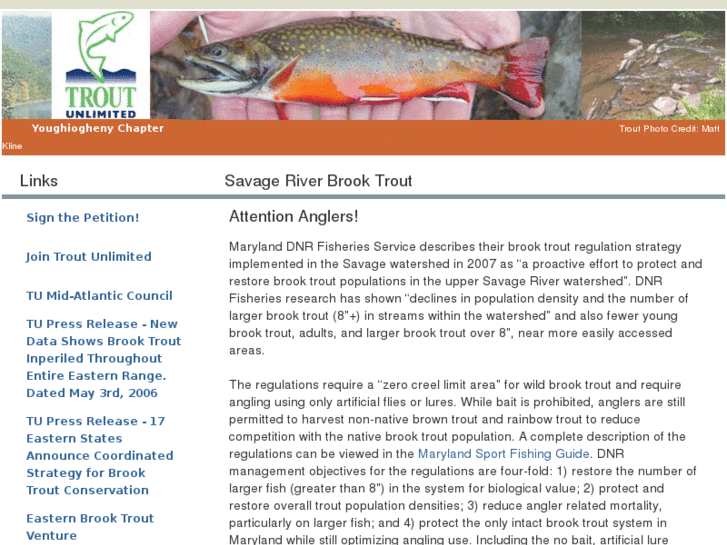 www.savageriverbrooktrout.org