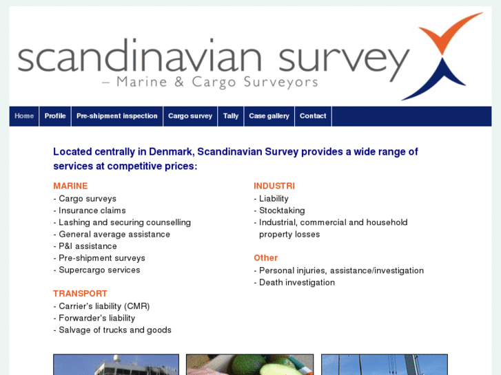 www.scandinaviansurvey.com