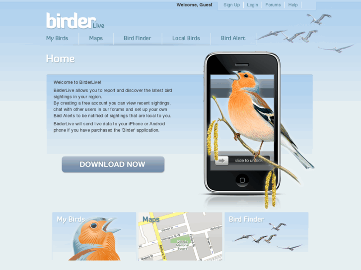 www.birderlive.com